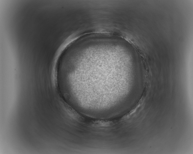 X0000112410343200909041401