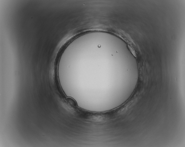 X0000112410344200909041401