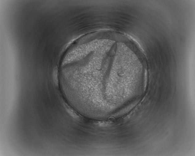 X0000112410345200909041401