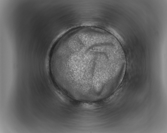 X0000112410346200909041401