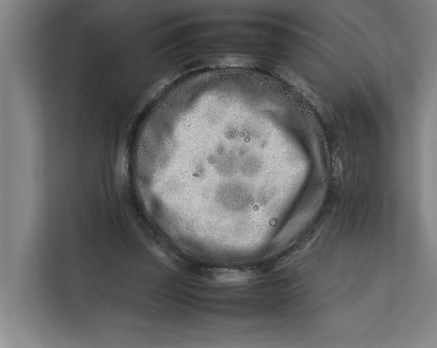 X0000112410347200909041401