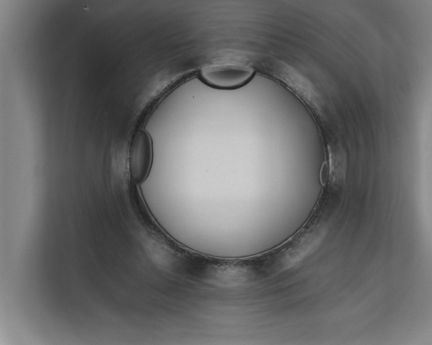 X0000112410348200909041401