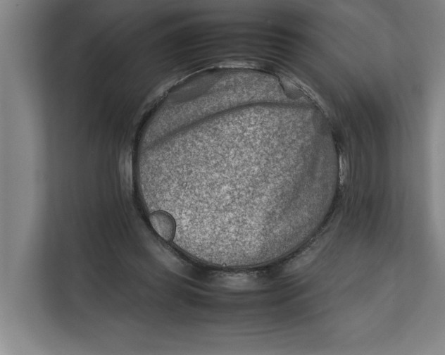 X0000112410349200909041401