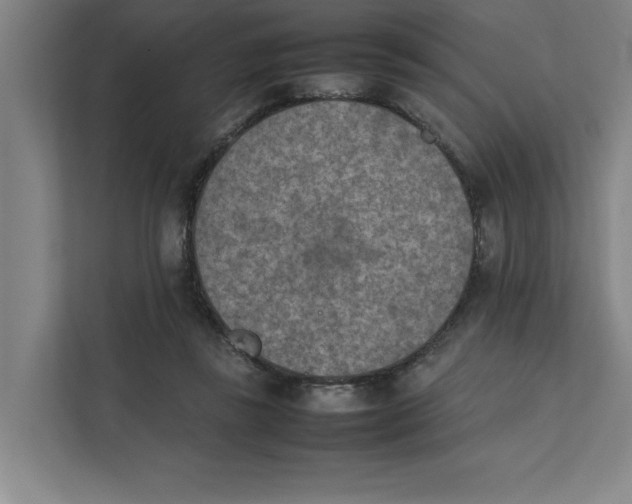 X0000112410355200909041401