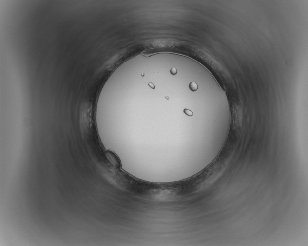 X0000112410356200909041401