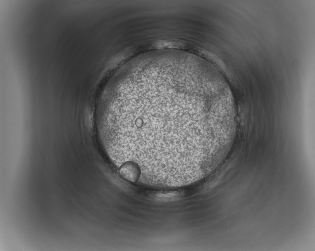 X0000112410357200909041401