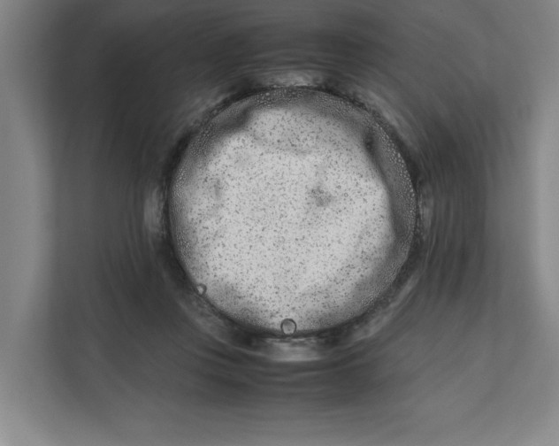 X0000112410359200909041401