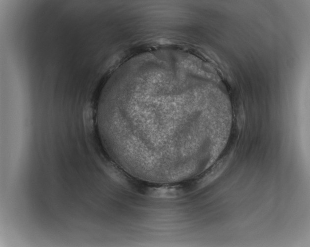 X0000112410366200909041401