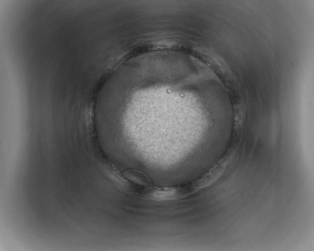 X0000112410369200909041401