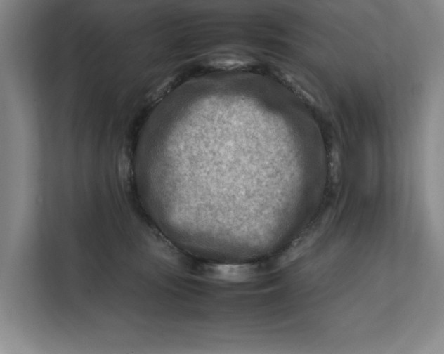 X0000112410371200909041401