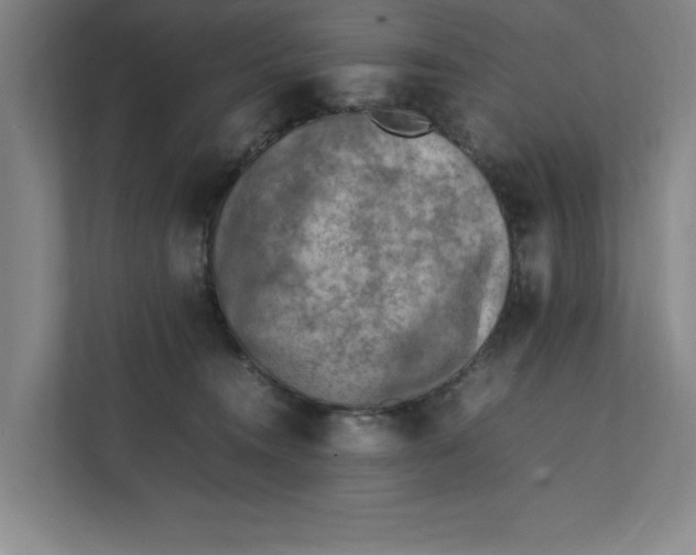 X0000112410372200909041401