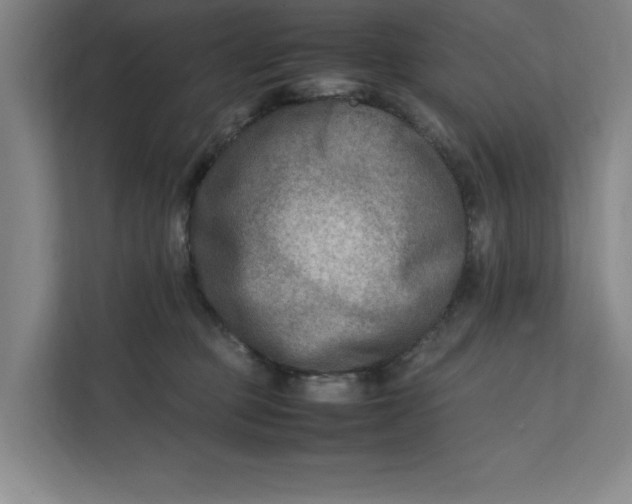 X0000112410373200909041401