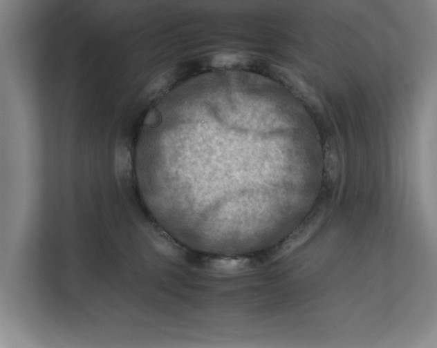 X0000112410375200909041401