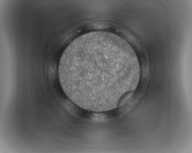 X0000112410376200909041401