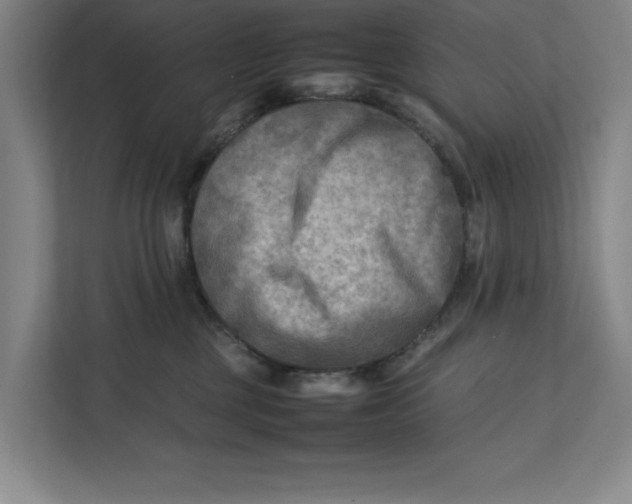 X0000112410377200909041401