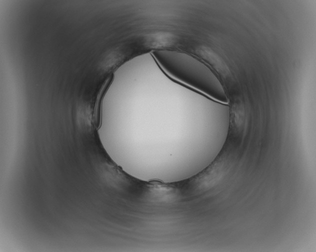 X0000112410380200909041401