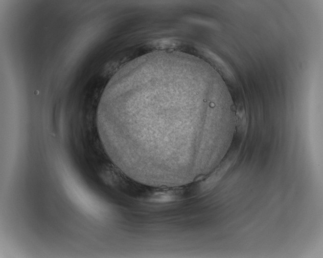 X0000112410381200909041401