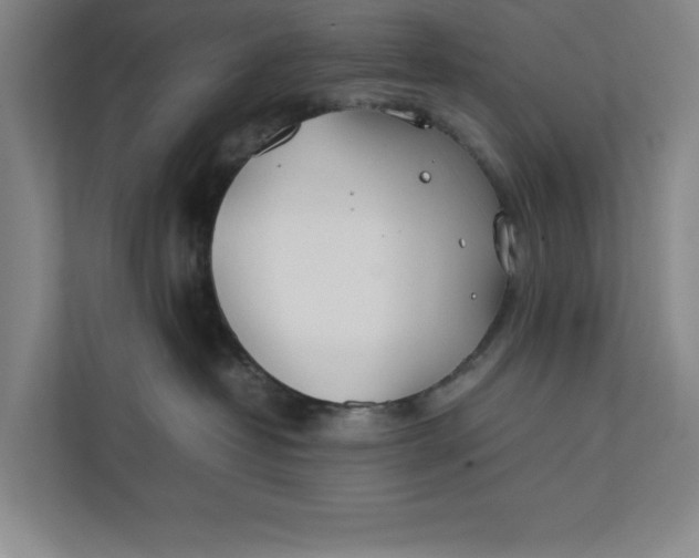 X0000112410382200909041401