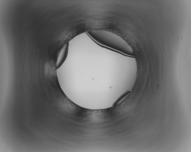 X0000112410384200909041401