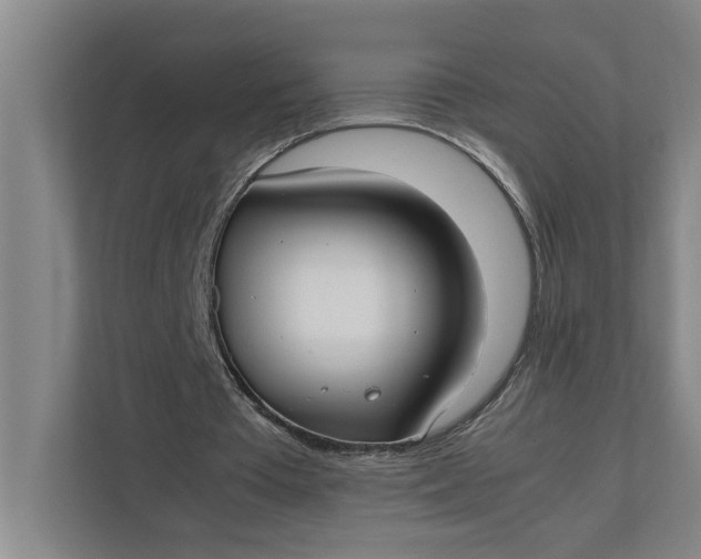 X0000112410385200909041400