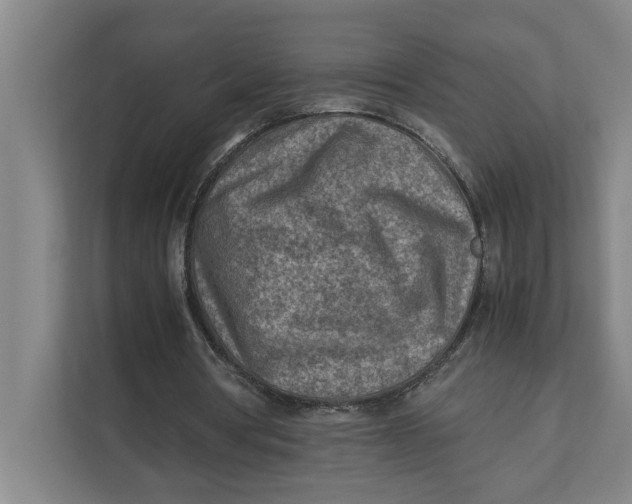 X0000112410386200909041400