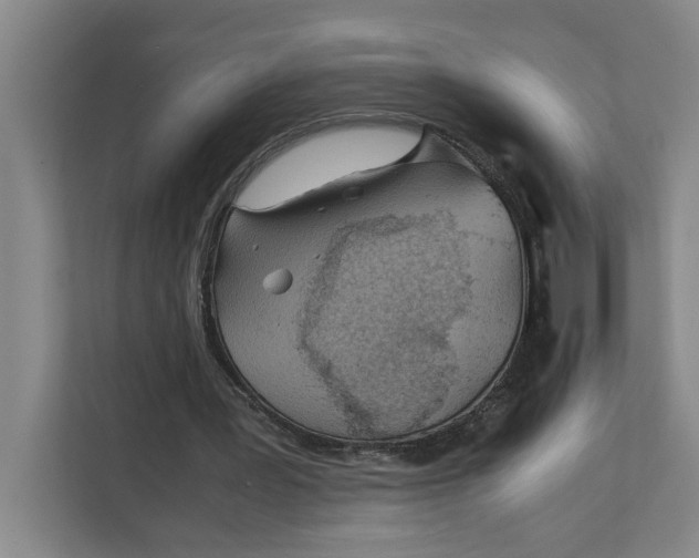 X0000112410387200909041400