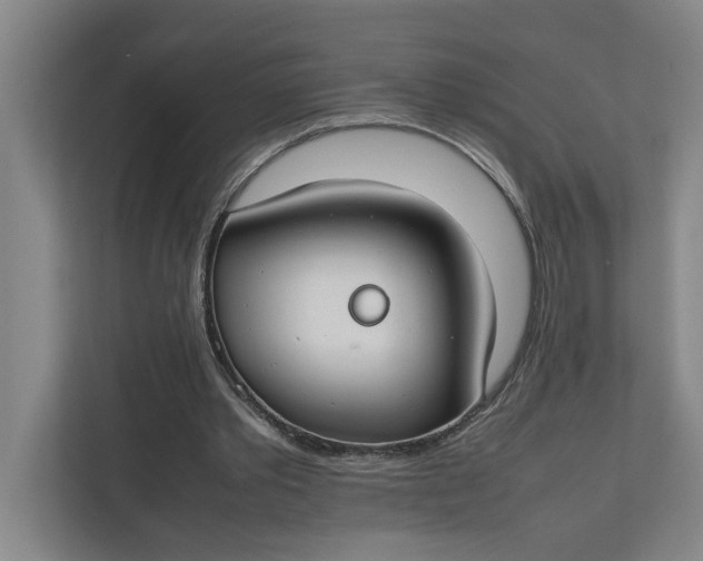 X0000112410389200909041400