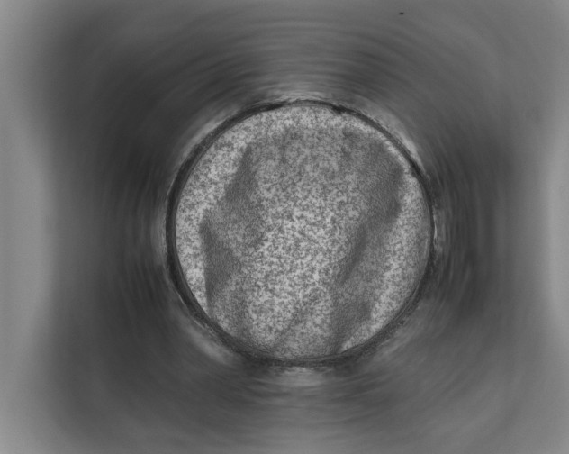 X0000112410390200909041400