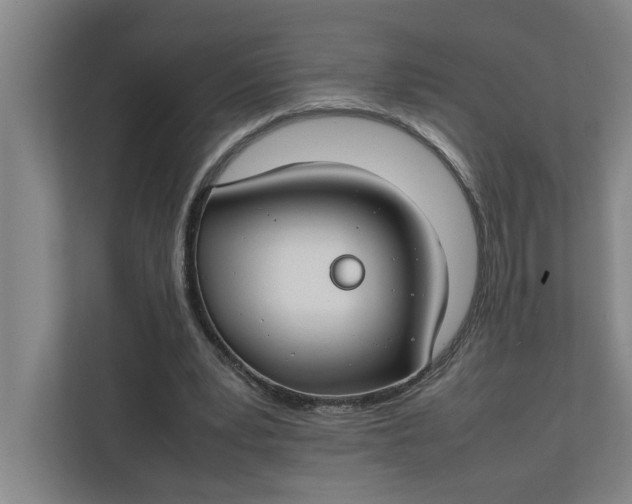 X0000112410391200909041400