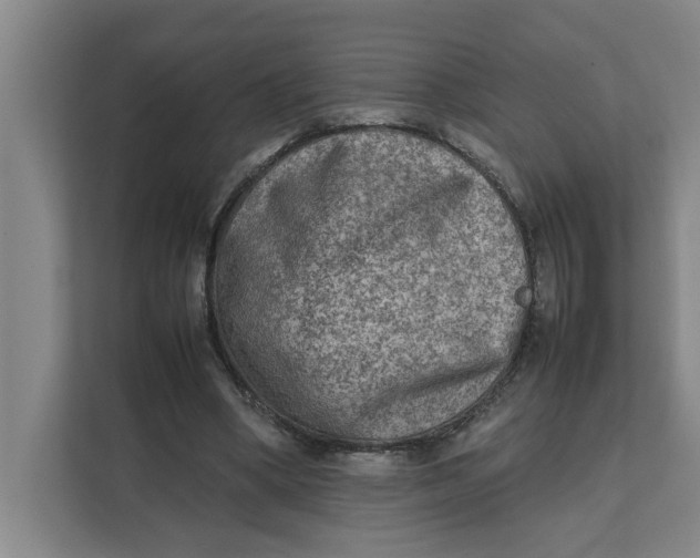 X0000112410394200909041400