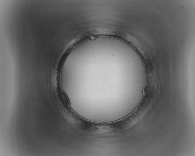 X0000112410395200909041400