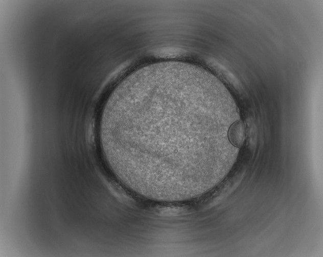 X0000112410400200909041400