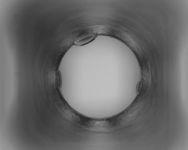 X0000112410401200909041400