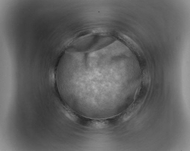 X0000112410405200909041400