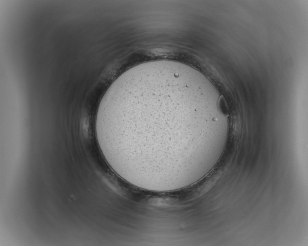 X0000112410408200909041400