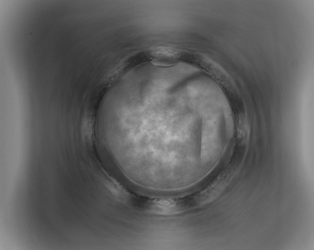 X0000112410409200909041400