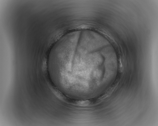 X0000112410410200909041400