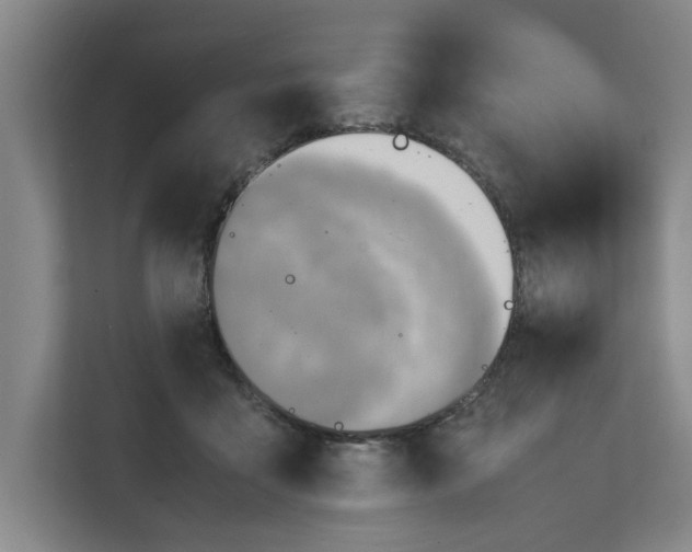 X0000112410411200909041400