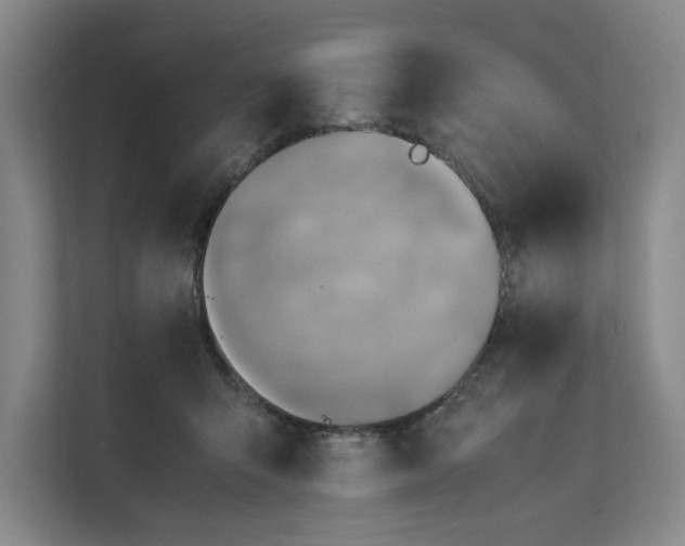 X0000112410415200909041400