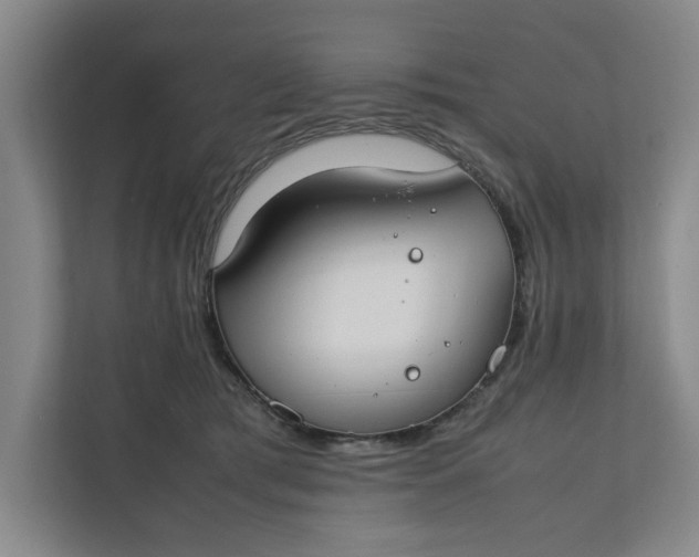 X0000112410417200909041400