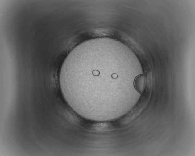 X0000112410418200909041400