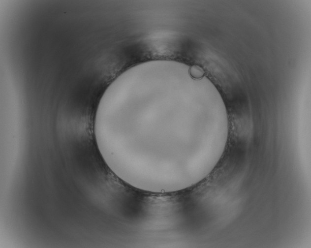 X0000112410419200909041400