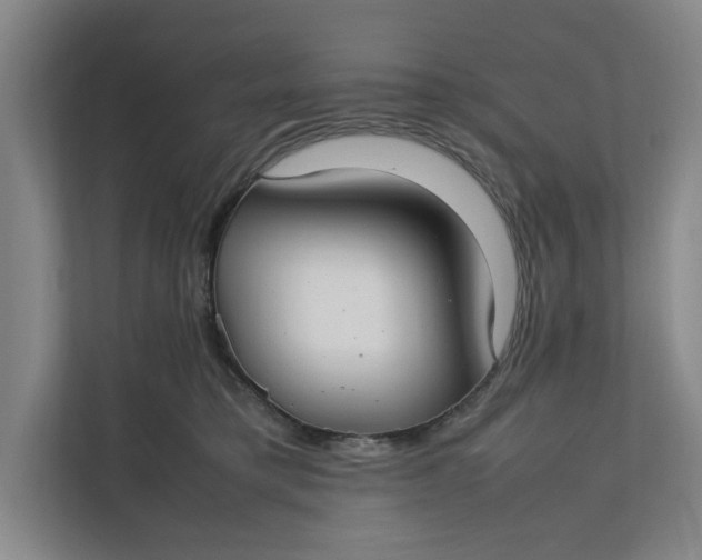 X0000112410421200909041400