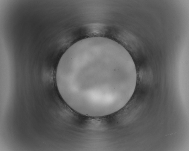 X0000112410423200909041400