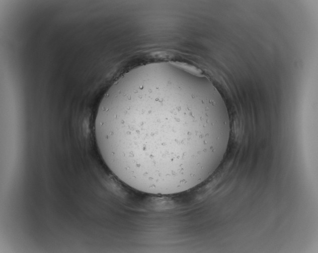 X0000112410424200909041400