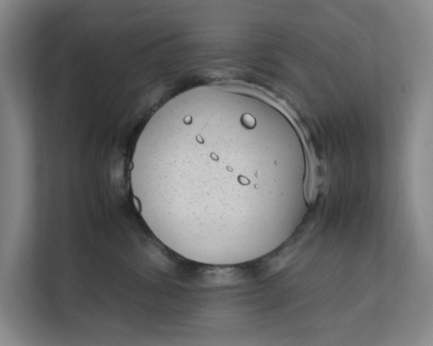 X0000112410428200909041400