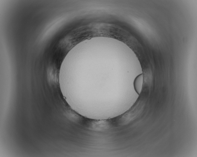 X0000112410431200909041400