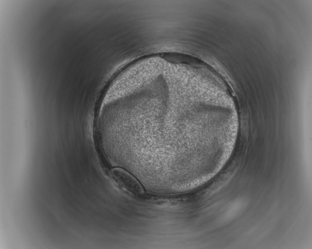 X0000112410434200909041359