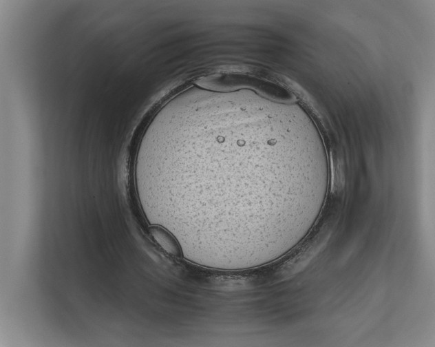 X0000112410435200909041359