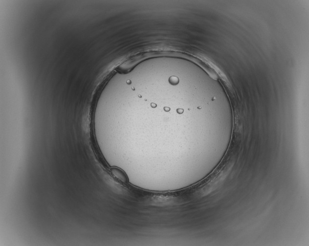 X0000112410437200909041359